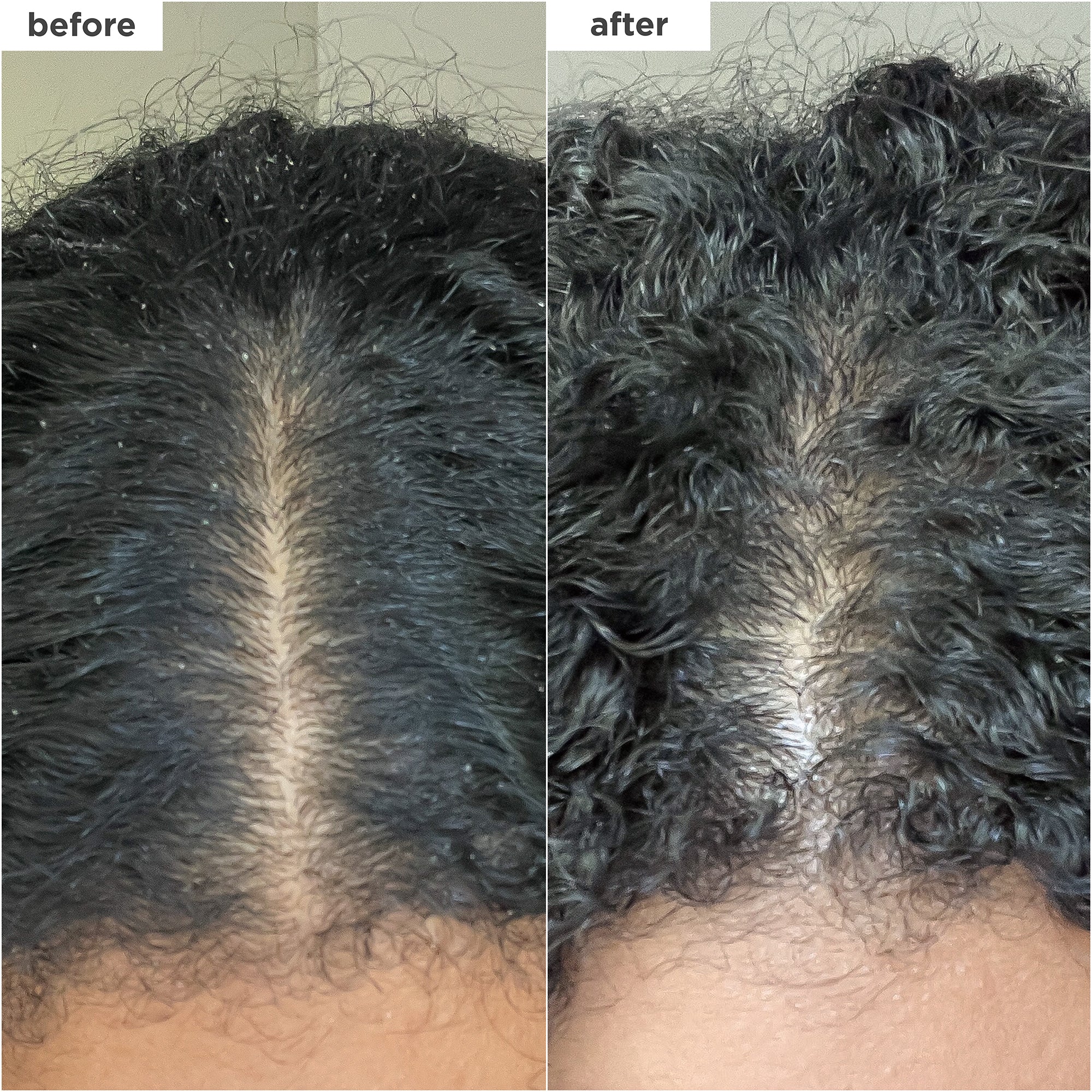 Scalp Revival™ Charcoal + Coconut Oil Micro-Exfoliating Shampoo 2 oz - Briogeo