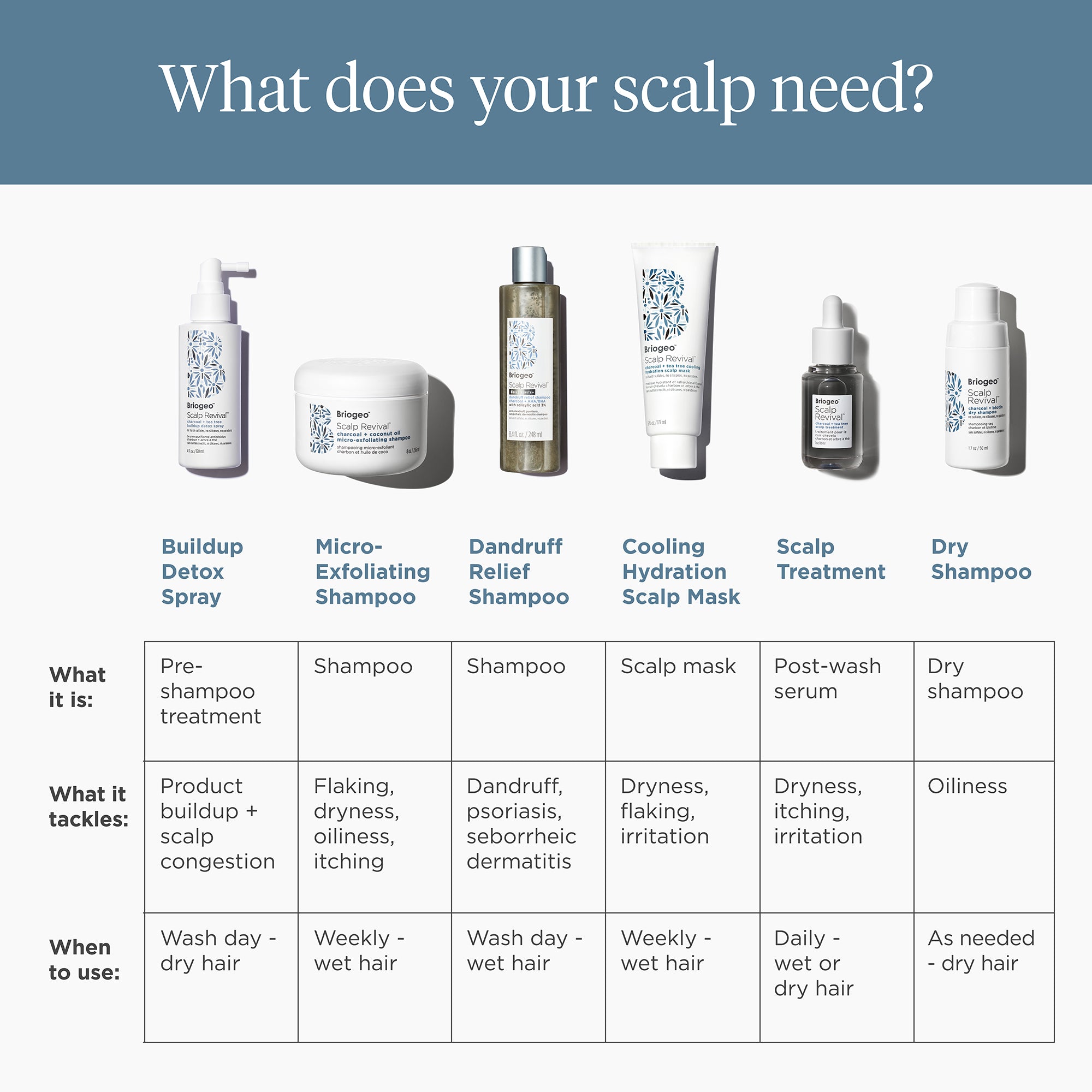 Scalp Revival Charcoal + Biotin Dry Shampoo - Briogeo