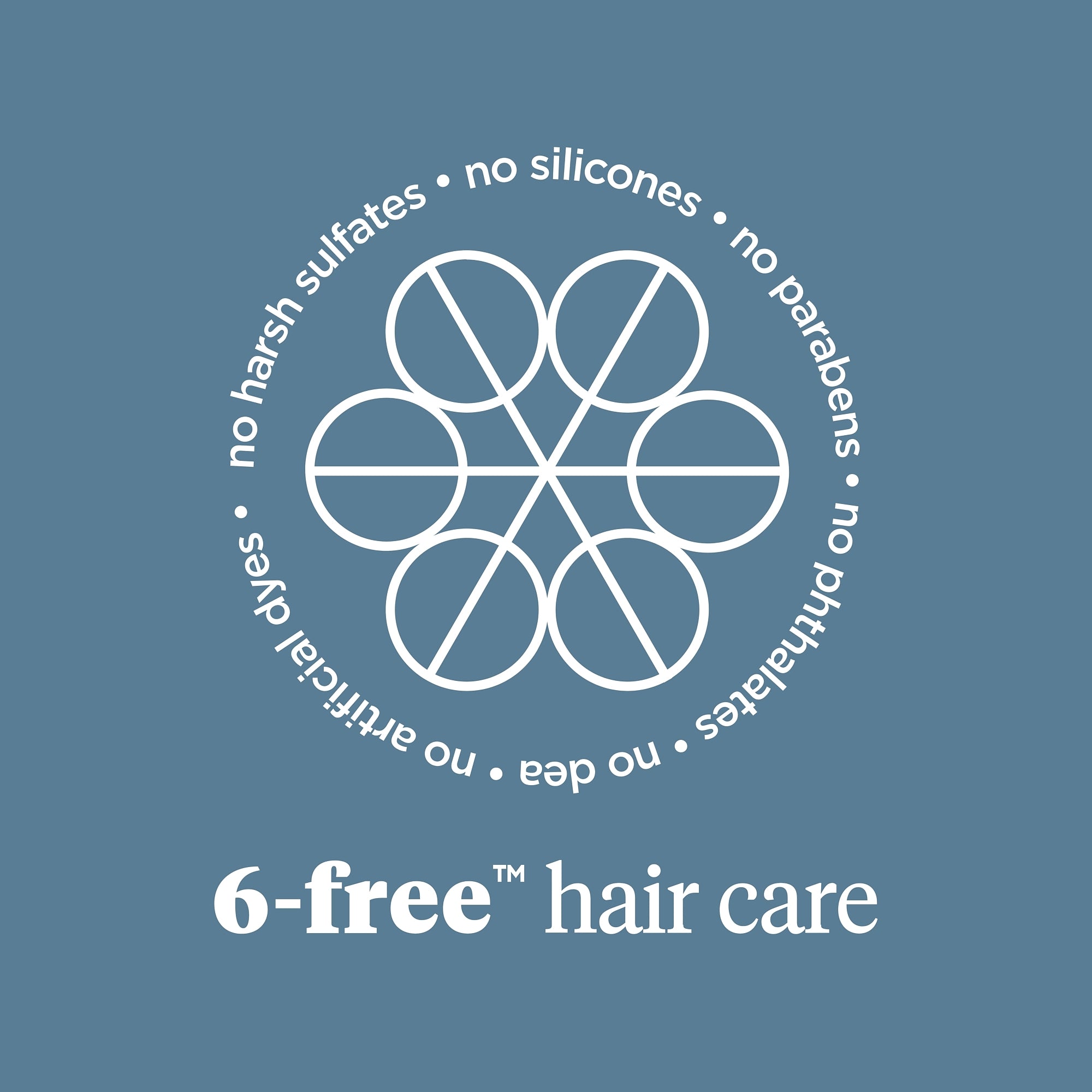 Scalp Revival Charcoal + Biotin Dry Shampoo - Briogeo
