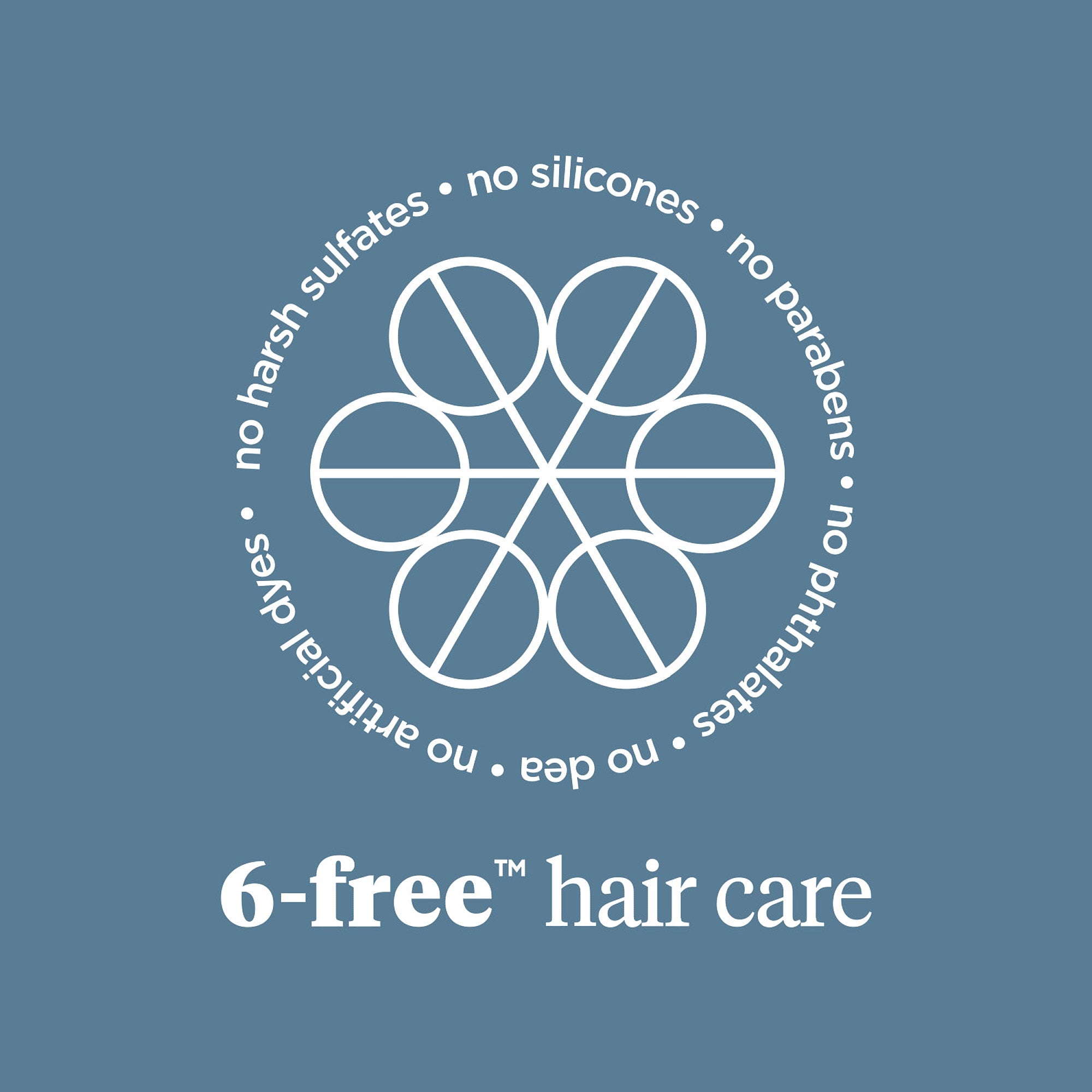 Scalp Revival Charcoal + Tea Tree Scalp Treatment - Briogeo