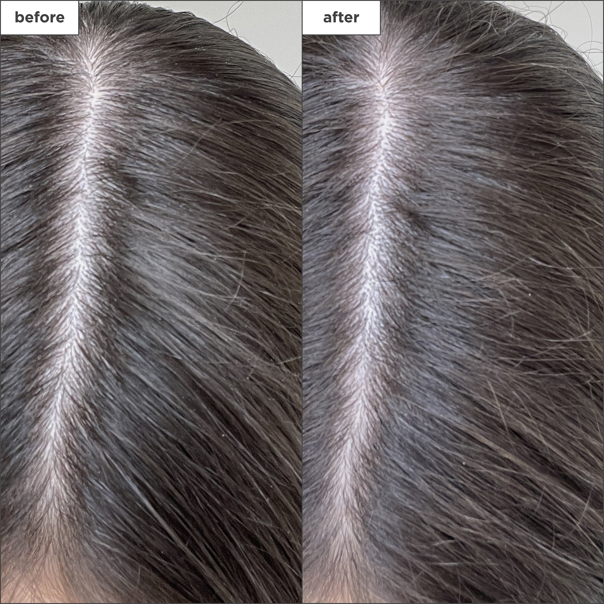 Scalp Revival Charcoal + Biotin Dry Shampoo - Briogeo